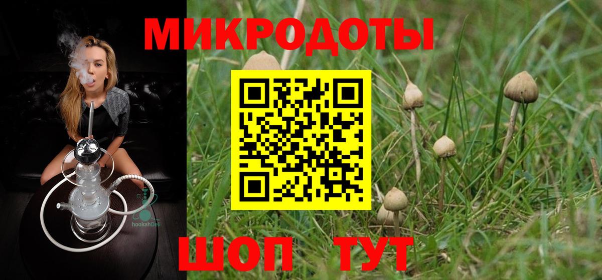 Галлюциногенные грибы Psilocybe Десногорск